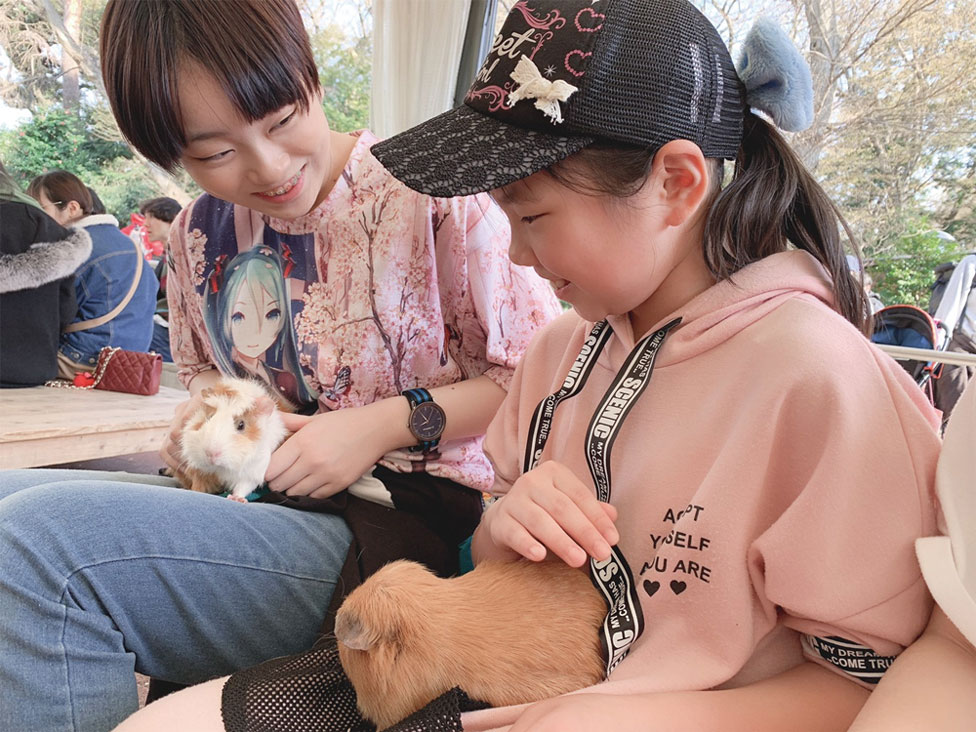 動物とのふれあい