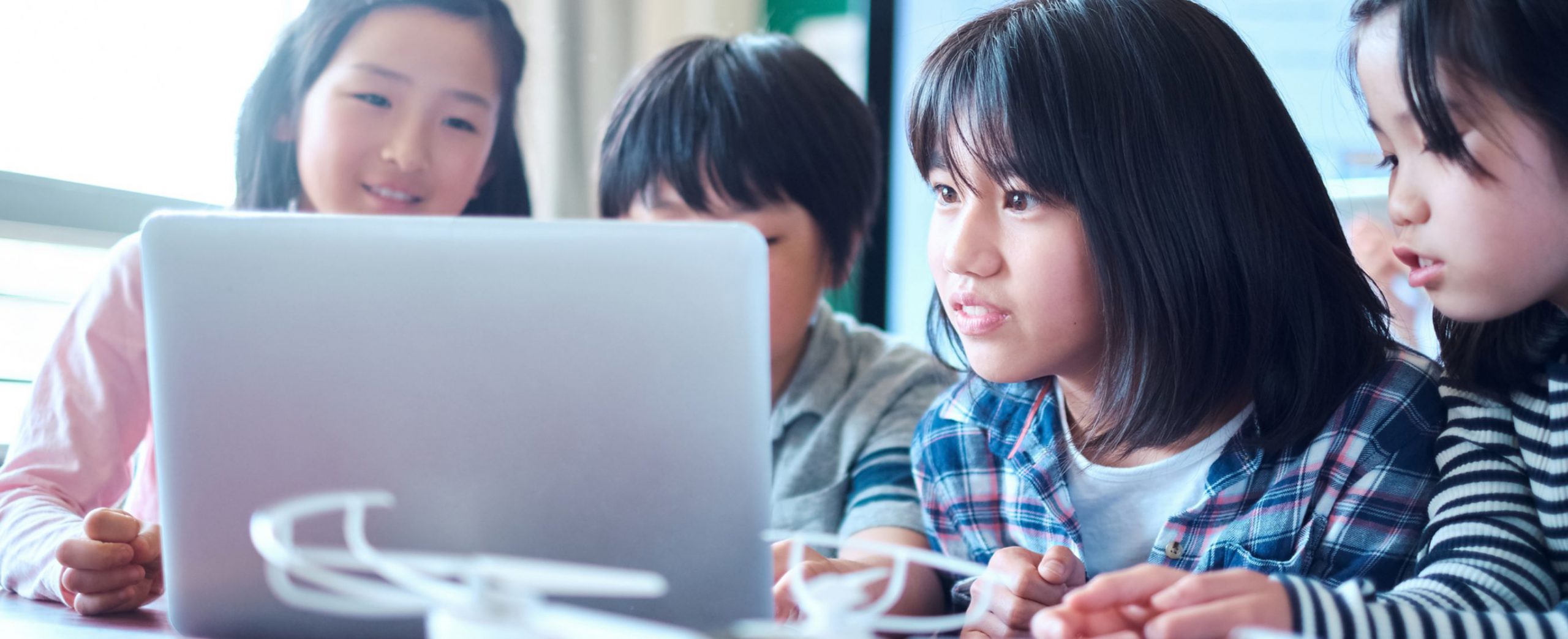 SEISAフリースクール MV